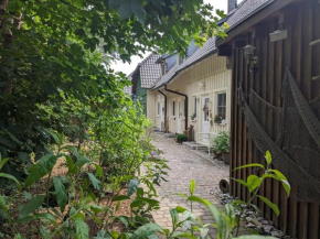 Zander in Born Am Darß